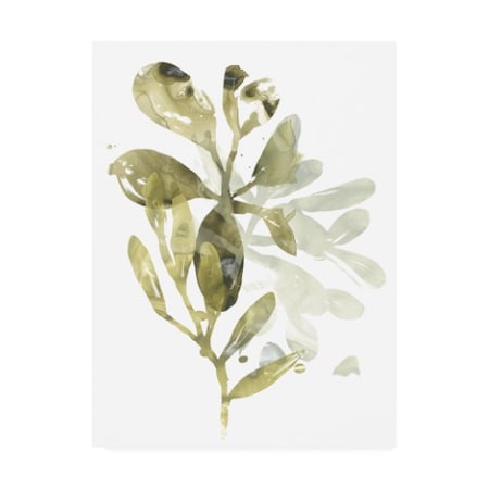 June Erica Vess 'Lichen And Leaves I' Canvas Art,14x19